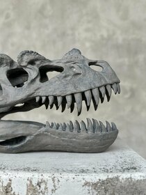 Replika lebky dinosaura Ceratosaurus Múzejná kvalita, 20cm - 4