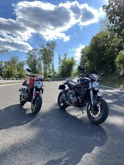 Ducati monster 821 stripe - 4