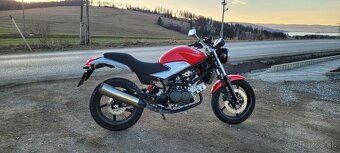 Honda VTR 250, malý Monster - 4