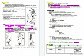 Poznámky z biológie - Systém rastlín - 4