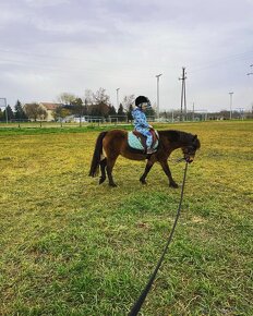 Poník pre detičky +sedlo - 4