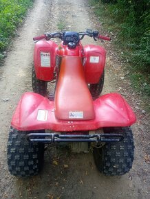 Honda TRX 250 ex - 4