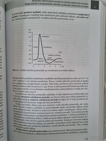 Medicínská biofyzika (2. vydanie) - 4