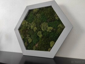 Predám obraz z machu: Hexagon šedý M (50 x 45 cm) - 4