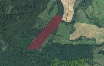 Polina – 2.384 m2 LESY a ORNÁ PÔDA– Na Predaj - 4