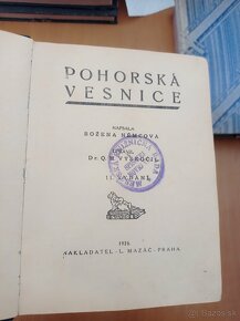 Staršie knihy v zachovalom stave do roku 1940 - 4