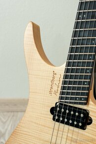 Strandberg Boden Prog 6 - headless, profi - 4