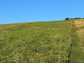 Stavebné pozemky Župčany, od 879m2, okres Prešov - 4