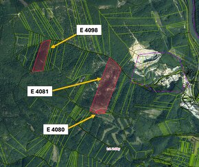 Vrútky – 14.500 m2 LES – PREDAJ - 4