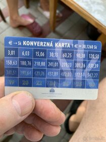 Euro kalkulačka a kurzová kartička - 4