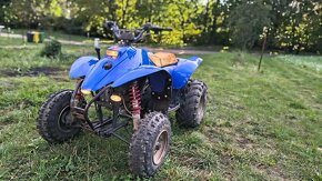 Polaris trail blazer 250 2takt - 4