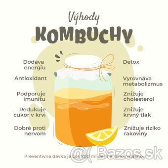 Kombucha čajová huba SCOBY - 4