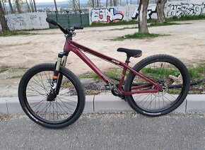 CTM Dirtking Custom - 4