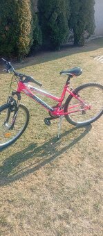 Horský bicykel ctm stefi 2,0 - 4