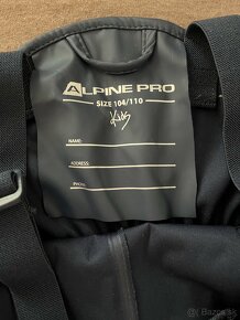 Alpine pro do dazda - 4