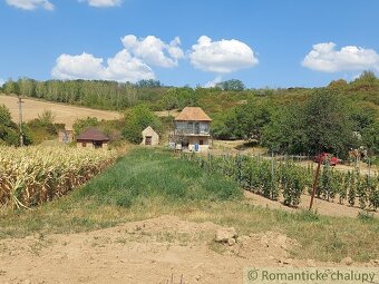 Pozemok s pôvodnou pivnicou na viničnom vŕšku v obci Modra - 4