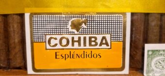 Cigary Cohiba Espléndidos - 4