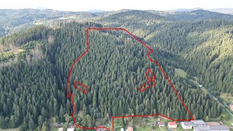 Korňa – 20.800 m2 LES s prístupom z obce - Na predaj - 4