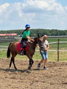 Šport pony x QH - 4