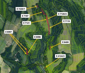 Brezová pod Bradlom - 6.300 m2 ORNÁ PÔDA a LES – PREDAJ - 4