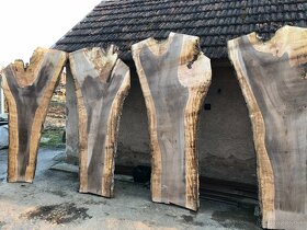 Orechove drevo, orechove fosne - 4