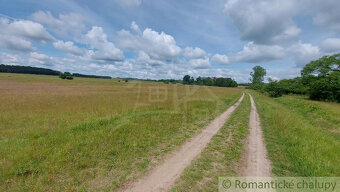 Lesný pozemok 37 000 m2 - 3,7 ha v obci Borský Mikuláš, 60 - 4