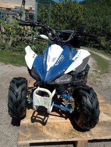 Atv Nitro 110 - 4