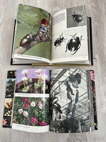Veľký obrazový atlas rastlín - 4