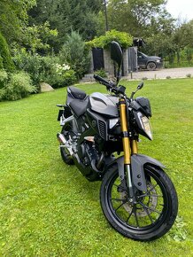 Yamaha MT 125 - 4