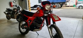 Honda XL 500 r.v.83 - 4