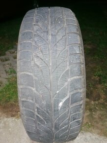 Paxaro Winter 205/65 R15 94H - 4