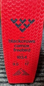 BLACK CROWS CAMOX FREEBIRD 183 - 4