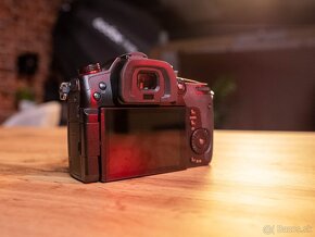 Panasonic LUMIX GH5s - 4