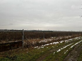 Ponúkame Vám na predaj pozemok - záhradu v Haniskej. - 4