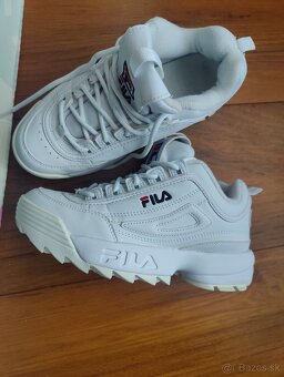 Fila 36 - 4