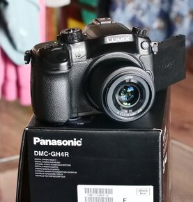 Panasonic Lumix GH4R - 4