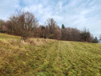 Predáme rekreačný pozemok, 4.640 m2, Nová Baňa, okr. Žarnovi - 4