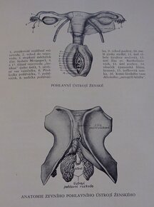 Život muža a ženy v láske a manželstve, vydaná v roku 1932 - 4