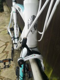 Bianchi via nirone, Ako giant, spezialized) - 4