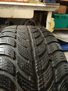 Sava Eskimo S3+ 205/55 R16 91T - 4