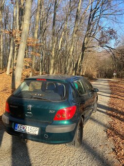 Peugeot 307 - 4