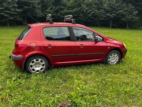 Peugeot 307 - 4