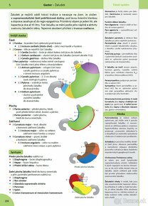 MEMORIX ANATOMIE  (5. vydanie, CZ, PDF) - 4