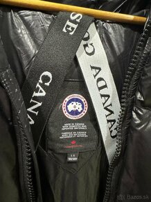 bunda canada goose - 4