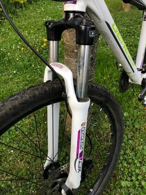 MTB Genesis Razor Zero - 4