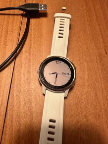 Garmin Fenix 6S Pro Glass - 4