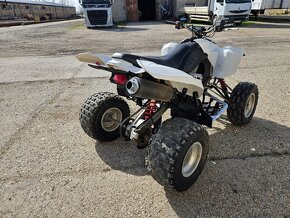 Polaris predator - 4