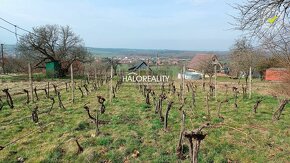 HALO reality - Predaj, rekreačný pozemok Žemberovce, s vinič - 4