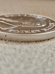 Investicne strieborne mince 1 oz, rocnik 2021-ihned k odberu - 4