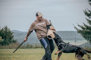 Beauceron s PP - 4